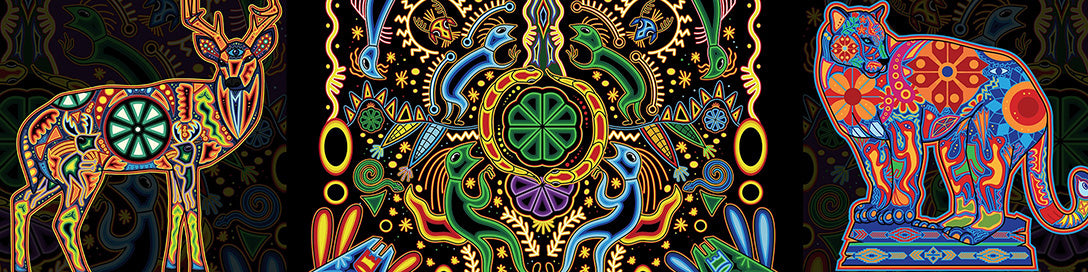 Wixaritar Huicholes Banner